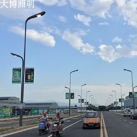 LED路灯新农村改造道路照明新叶款路灯现代文化特色灯具厂家批发