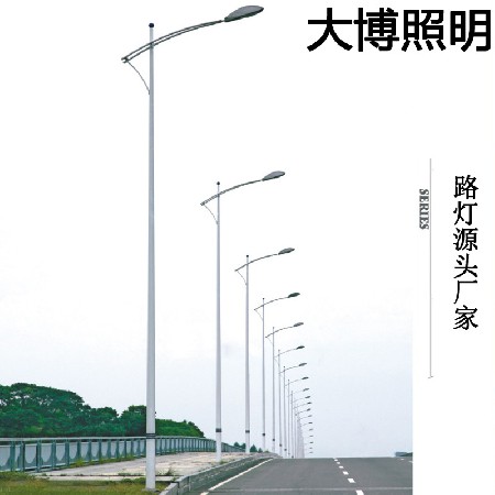 LED市电路灯农村道路改造亮化工程太阳能路灯特色路灯厂家批发