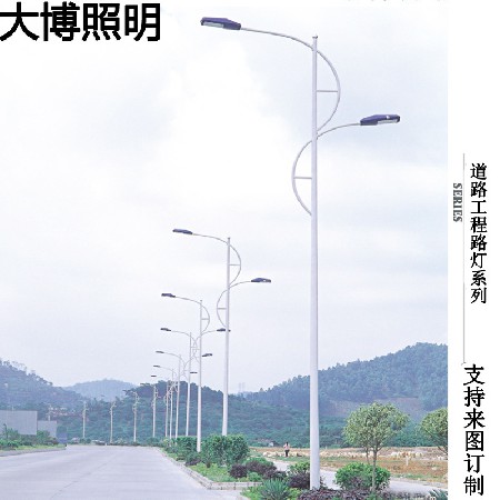 LED市电路灯农村道路改造亮化工程太阳能路灯特色路灯厂家批发